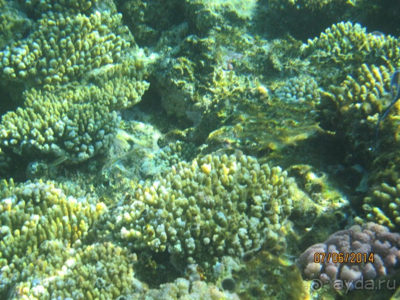 Отличный клубный отель