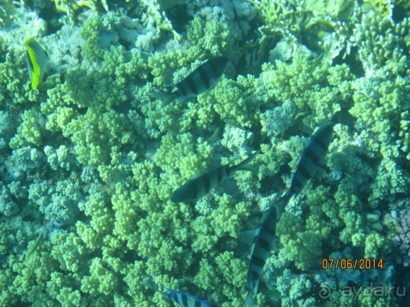 Отличный клубный отель