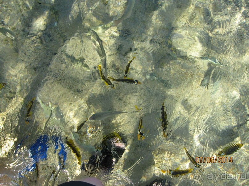 Отличный клубный отель