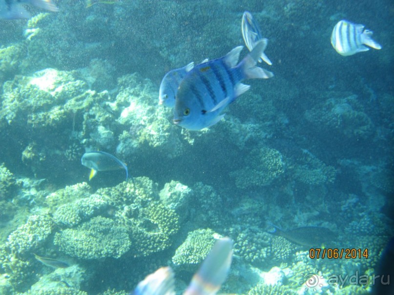 Отличный клубный отель