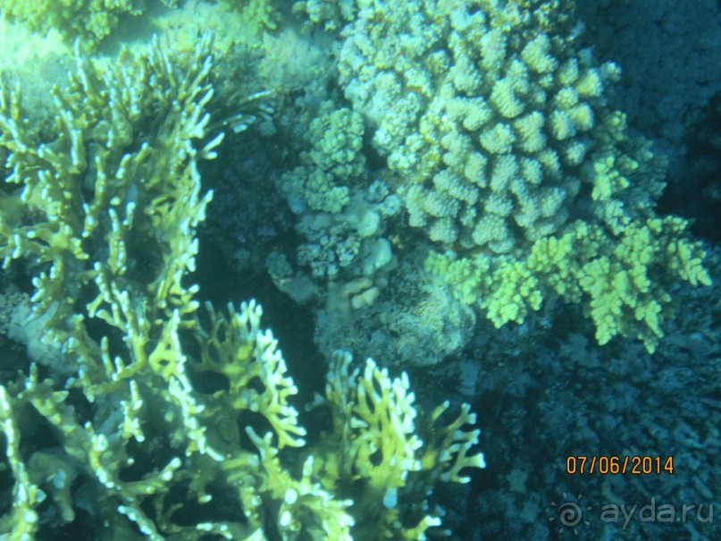 Отличный клубный отель