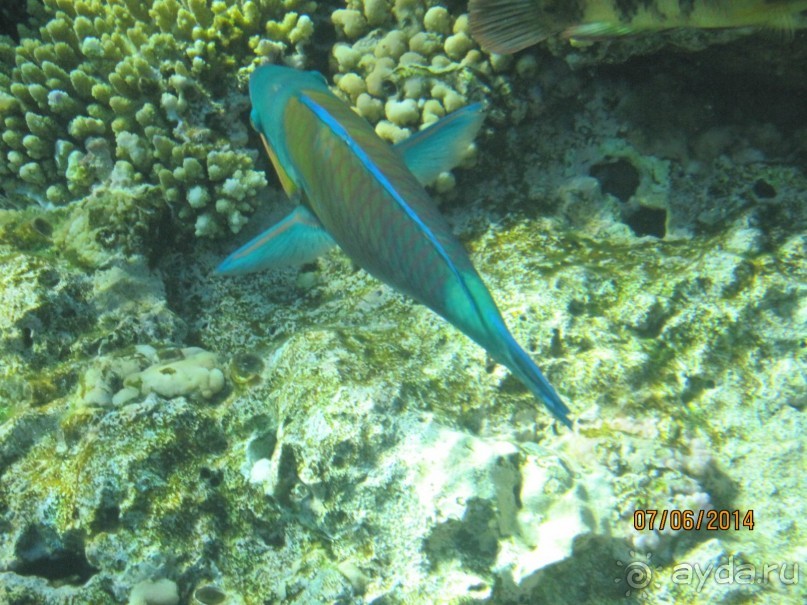 Отличный клубный отель