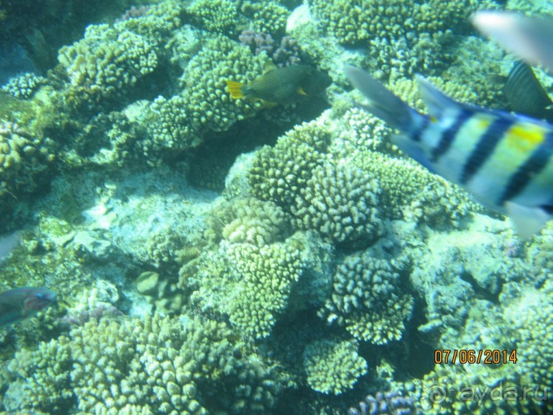 Отличный клубный отель