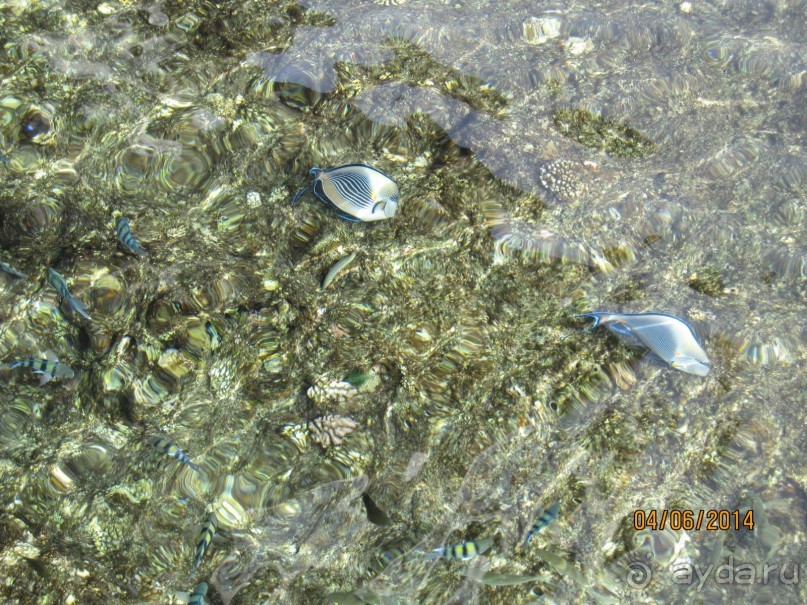 Отличный клубный отель