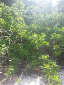 Невероятно красочные острова Симиланы с умопомрачительными видами!