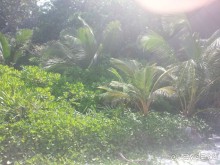 Невероятно красочные острова Симиланы с умопомрачительными видами!