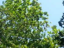 Невероятно красочные острова Симиланы с умопомрачительными видами!