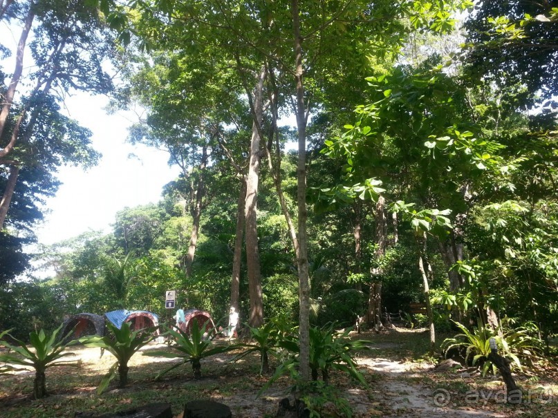 Невероятно красочные острова Симиланы с умопомрачительными видами!