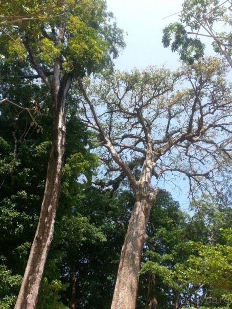 Невероятно красочные острова Симиланы с умопомрачительными видами!