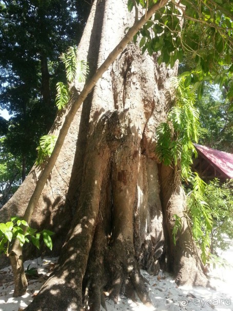 Невероятно красочные острова Симиланы с умопомрачительными видами!