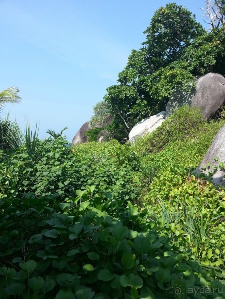 Невероятно красочные острова Симиланы с умопомрачительными видами!