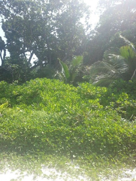 Невероятно красочные острова Симиланы с умопомрачительными видами!