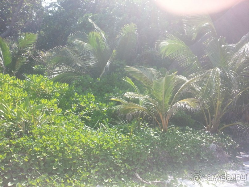 Невероятно красочные острова Симиланы с умопомрачительными видами!