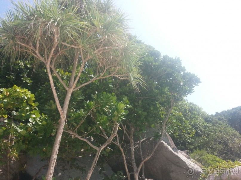 Невероятно красочные острова Симиланы с умопомрачительными видами!