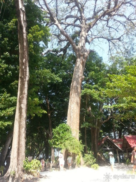 Невероятно красочные острова Симиланы с умопомрачительными видами!