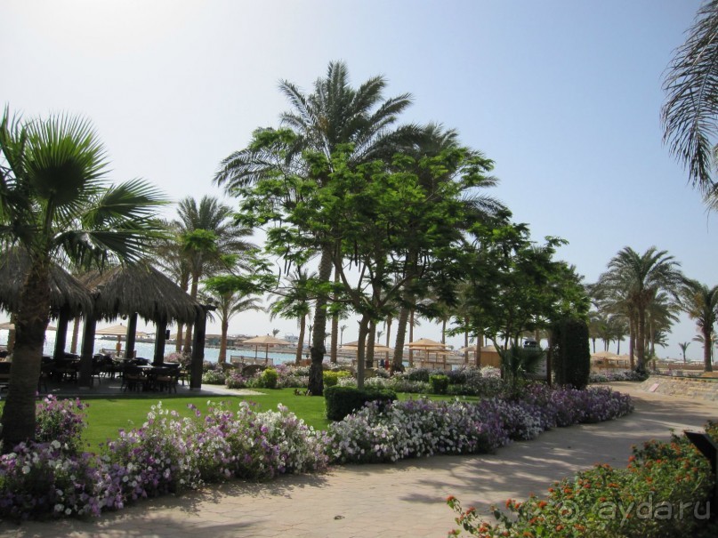 фото Movenpick Resort Soma Bay