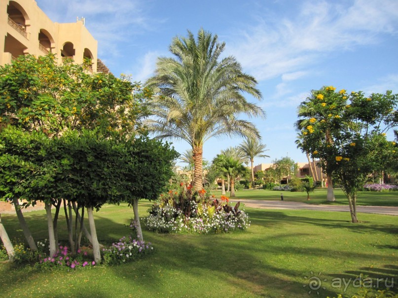 фото Movenpick Resort Soma Bay