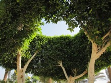 Мёвенпик есть Мёвенпик