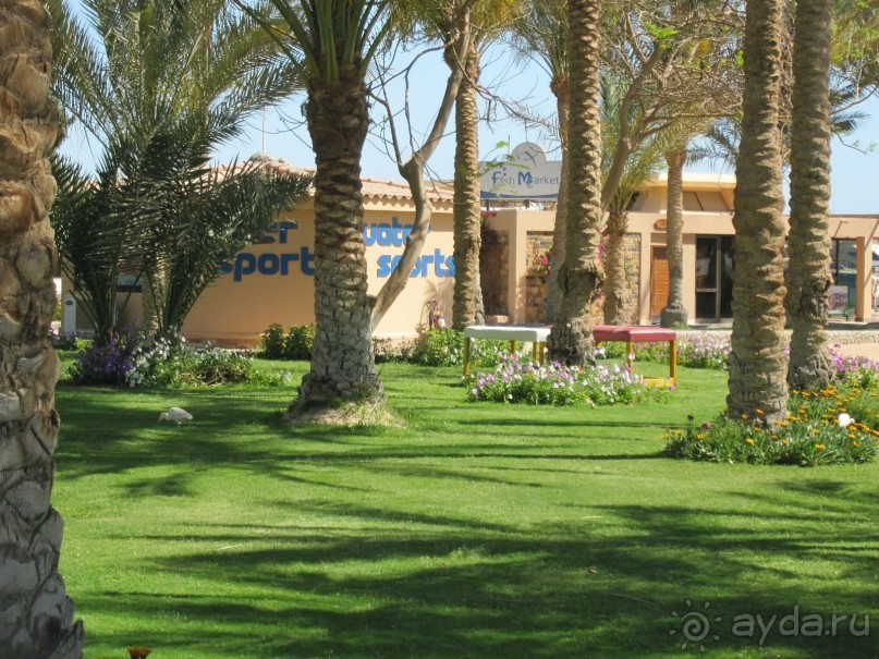 фото Movenpick Resort Soma Bay