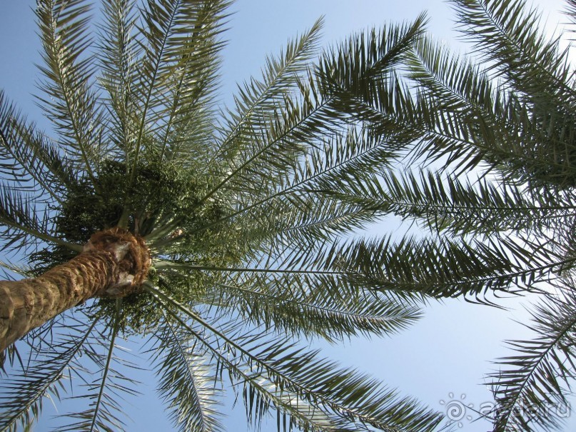 Мёвенпик есть Мёвенпик