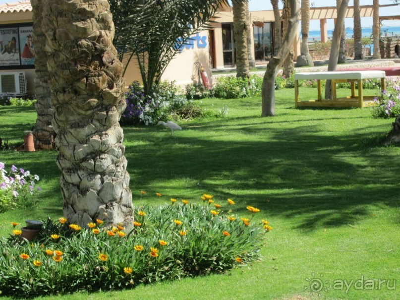 фото Movenpick Resort Soma Bay