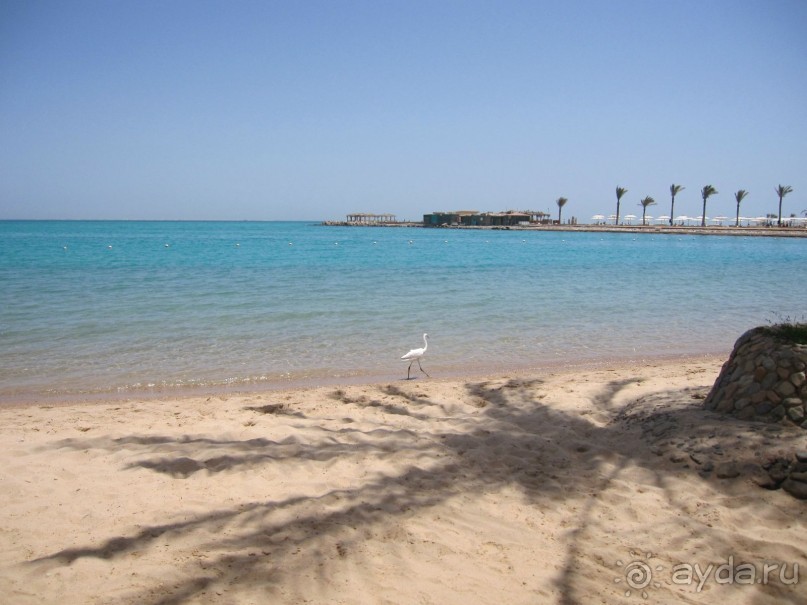 фото Movenpick Resort Soma Bay