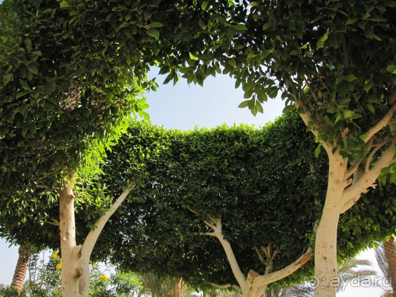 Мёвенпик есть Мёвенпик