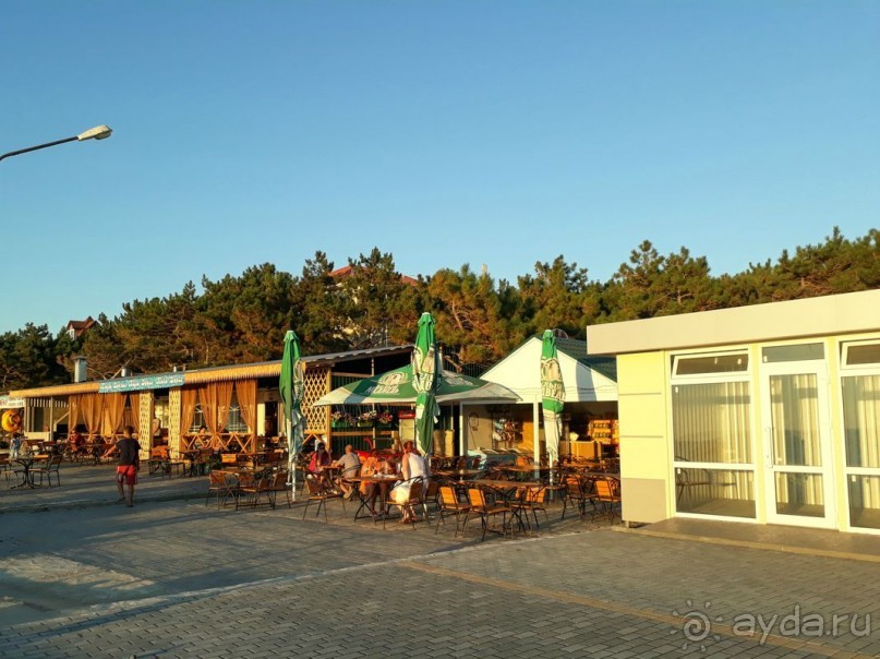 фото Фортуна