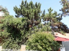 фото Фортуна