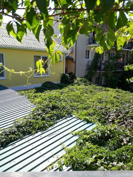 Бархатный сезон в Крыму