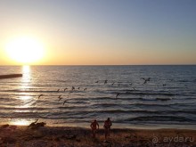 фото Фортуна