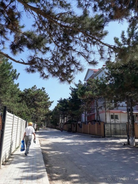 Бархатный сезон в Крыму