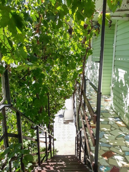 Бархатный сезон в Крыму