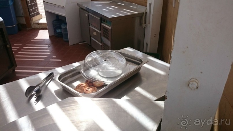 Беспредел, дизентерия, воровство