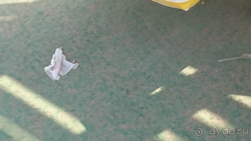 Беспредел, дизентерия, воровство