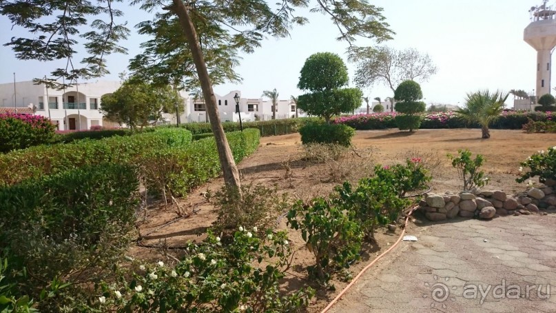 Беспредел, дизентерия, воровство