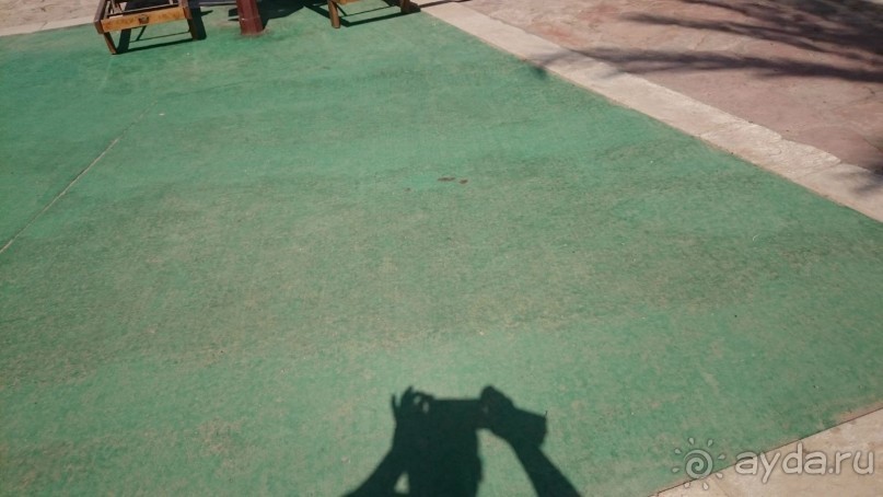 Беспредел, дизентерия, воровство