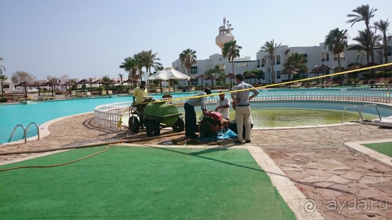 Беспредел, дизентерия, воровство