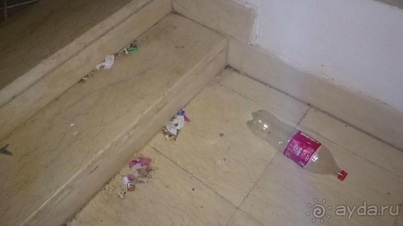 Беспредел, дизентерия, воровство