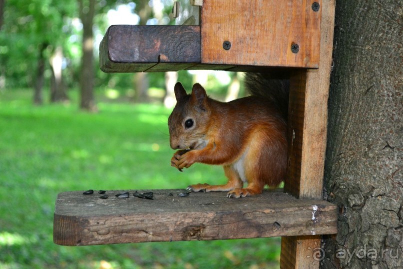 Чернигов - бюджетный, но хороший отдых