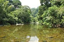 Альбом отзыва "Удивительный национальный парк Као Сок"