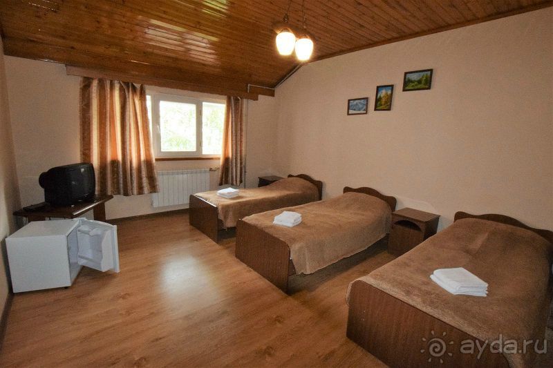 Отдых в Сочи 