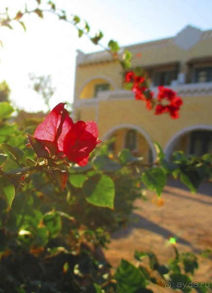 на территории отеля