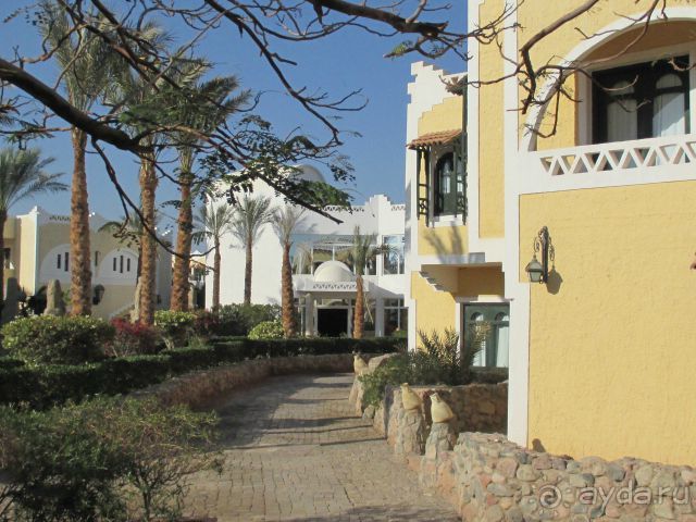 Club El Faraana Reef