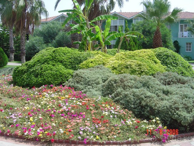 Majesty Club Palm Beach