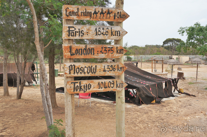 Мой отдых в северо-западной Африке