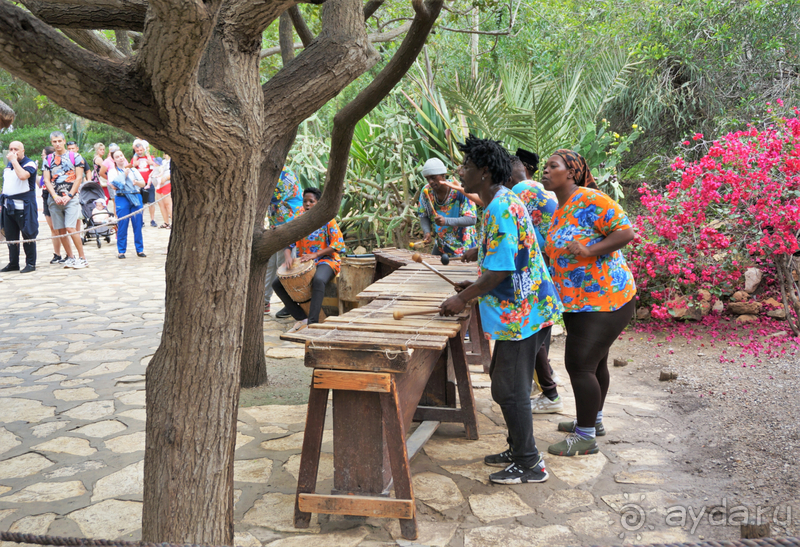 Мой отдых в северо-западной Африке