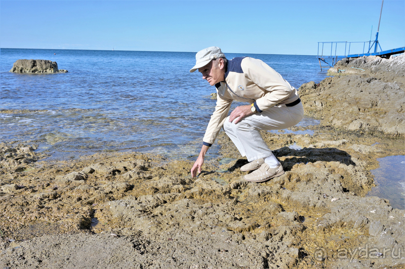 Осень 2021 г. в Хорватии