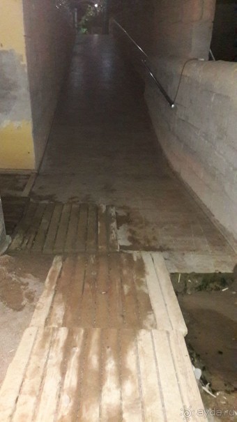  разочарованна  