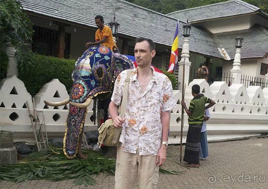 Двухнедельный экскурсионный тур по Шри-Ланке